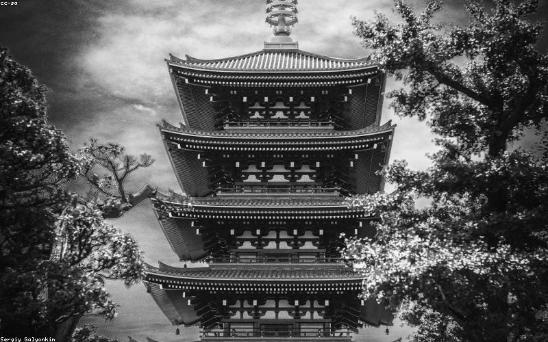 طائرة في مطار طوكيو